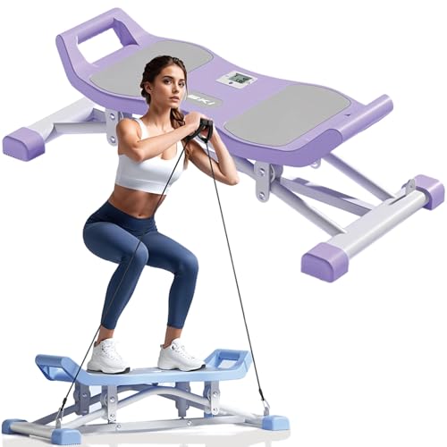 Balance Board with LCD Monitor and Resistance Bands
