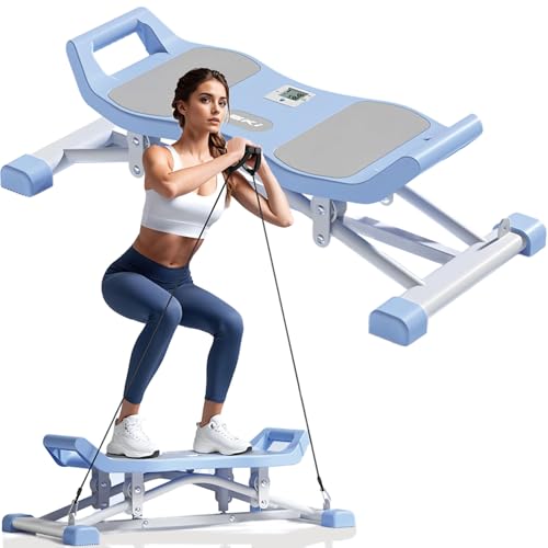 Balance Board with LCD Monitor and Resistance Bands