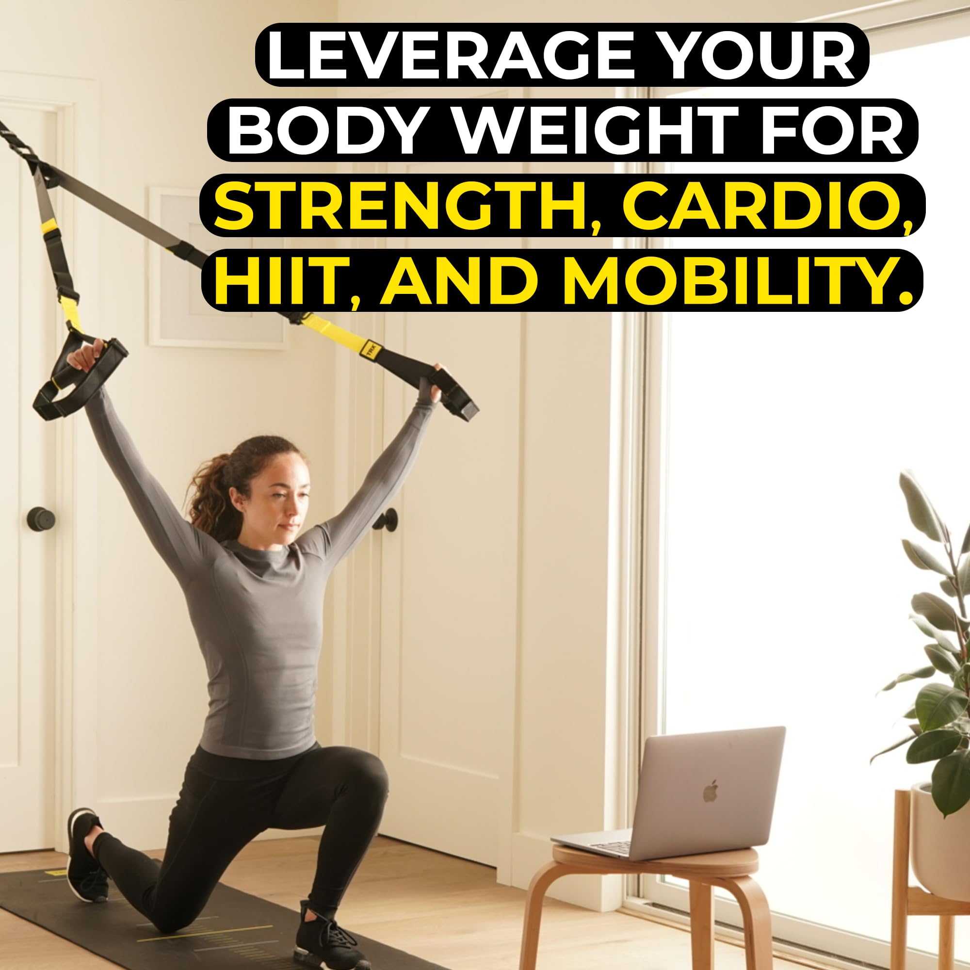 Suspension Training System with 6-Month Training Membership