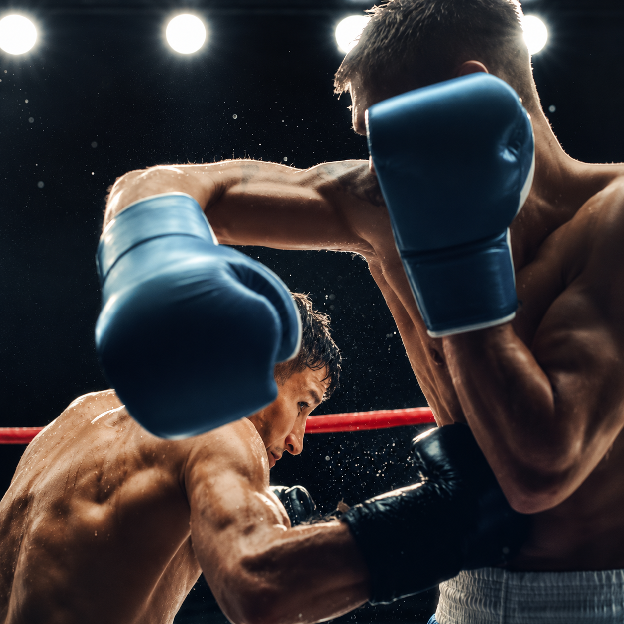 Boxing & Combat Training